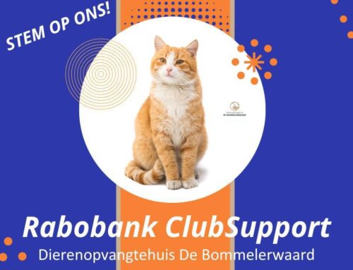 Rabo ClubSupport Actie!