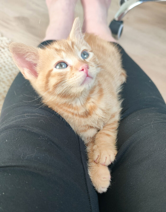 Kenny