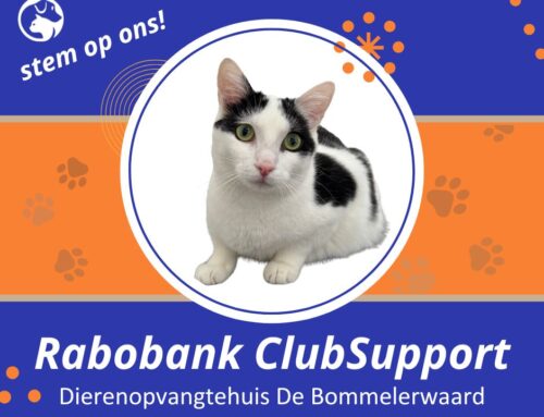 Steun ons met één klik via Rabo ClubSupport! 🧡