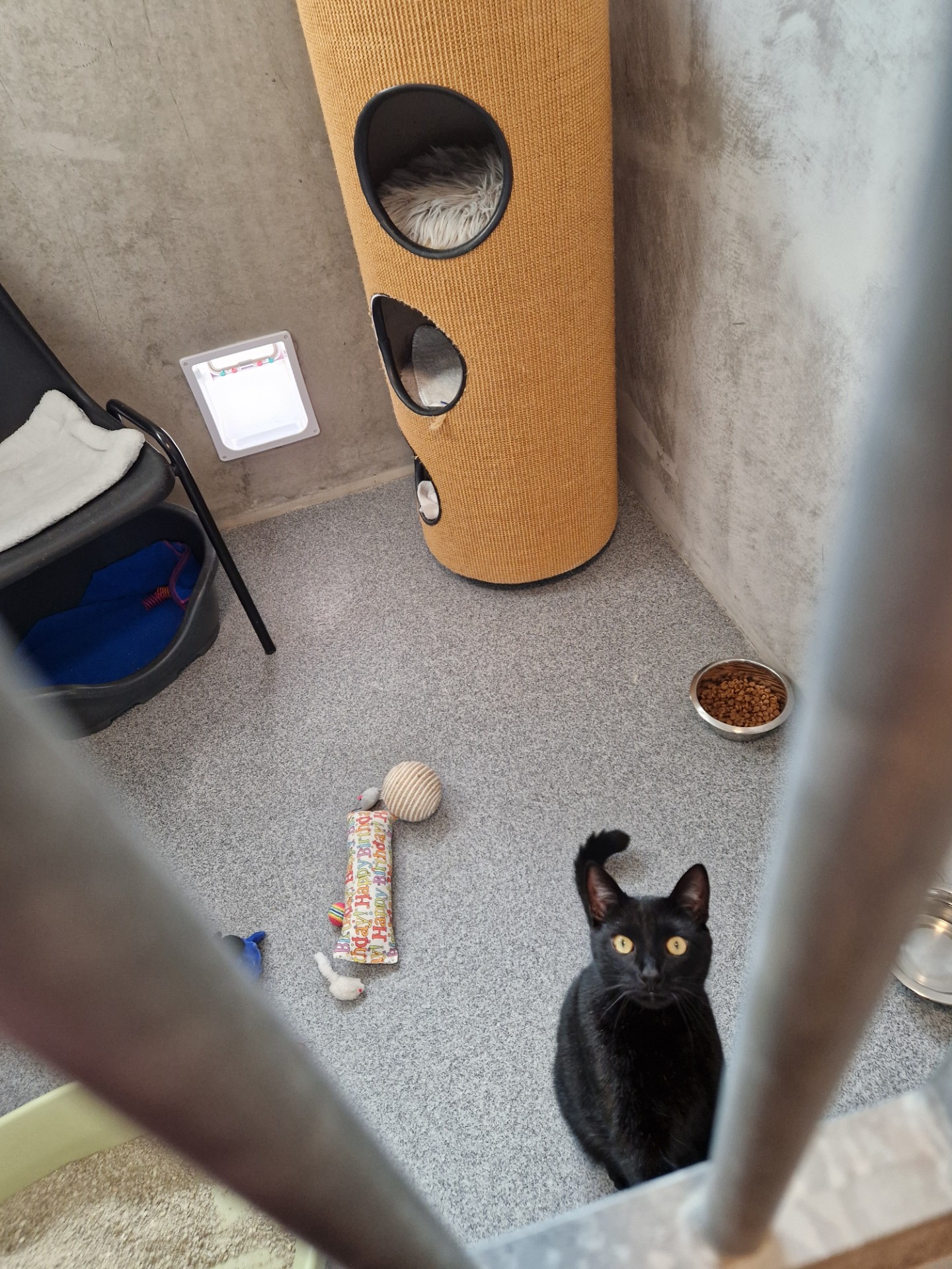 Boogey - Afbeelding 2