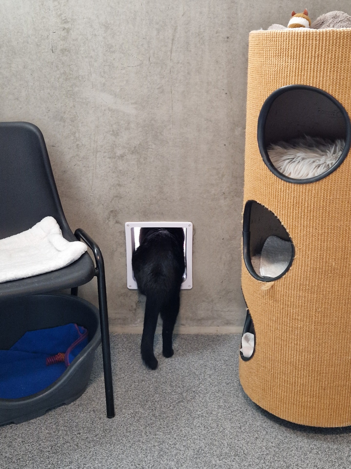 Boogey - Afbeelding 3