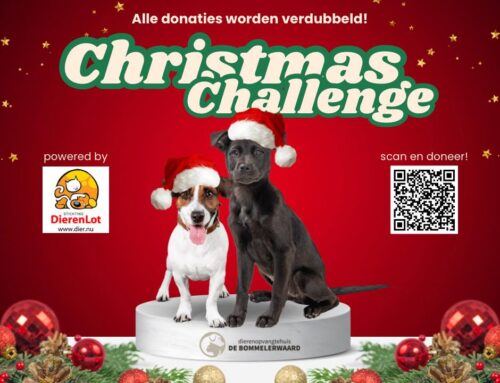 Christmas Challenge van Stichting Dierenlot
