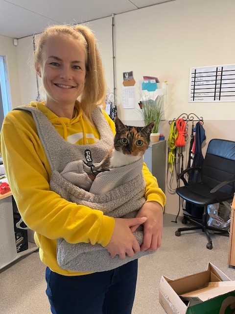 Minous - Afbeelding 2