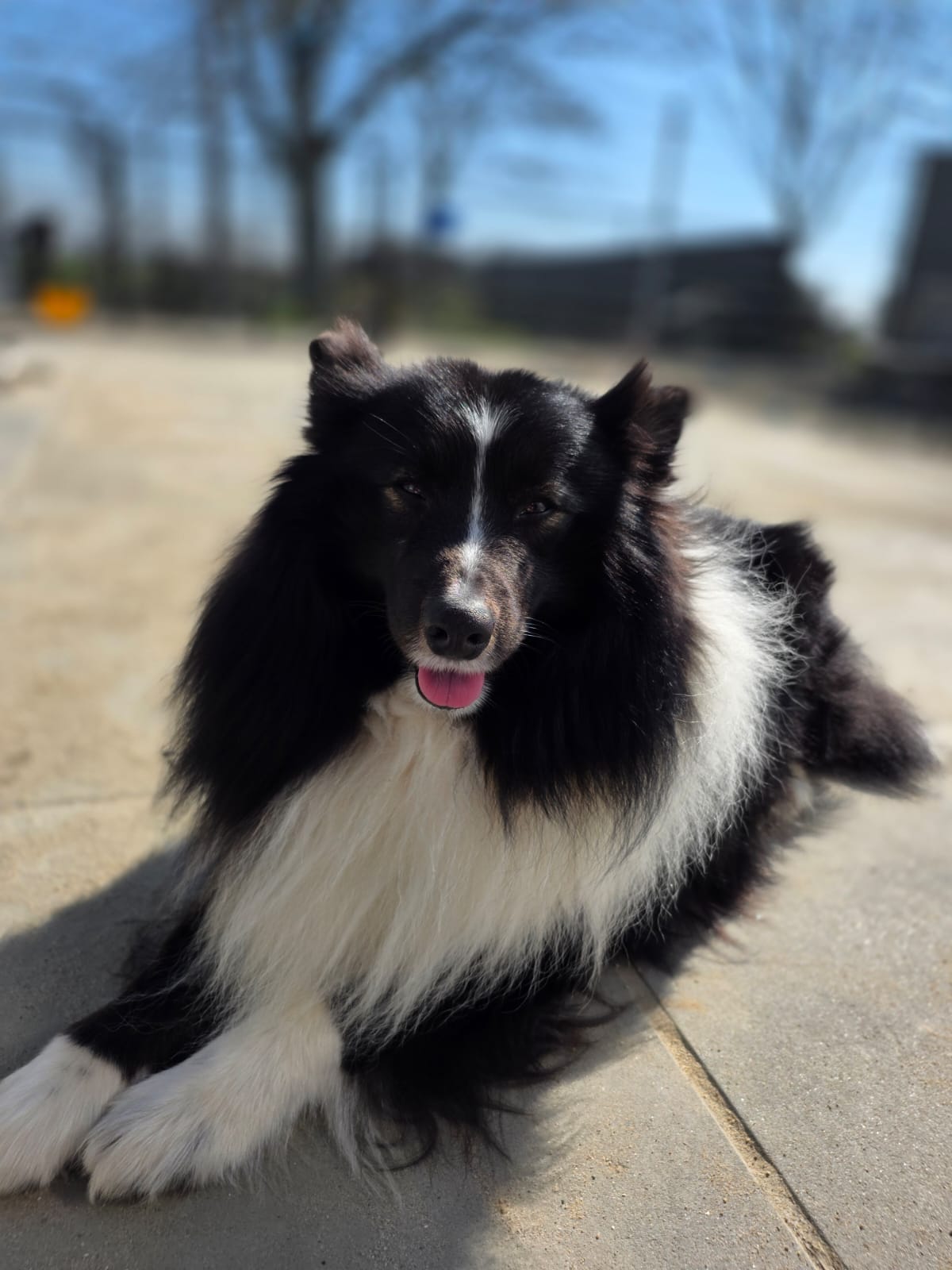 Rex en Bobby - Afbeelding 6